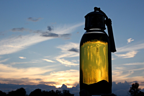 argan oil bottle Morocco